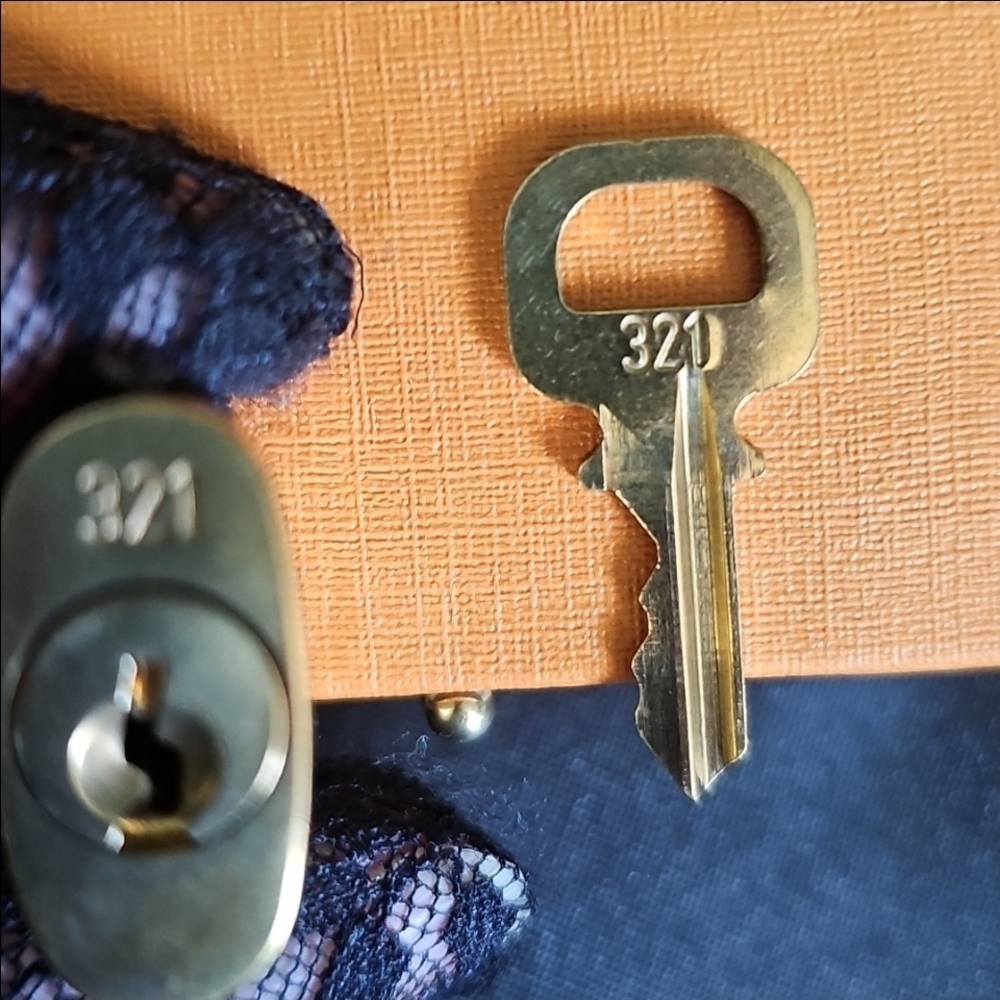 #321 LV Lock and Key 🔐 - Picture 10 of 10